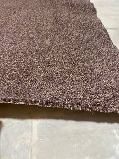 Brown Carpet with Foam sheet for sale