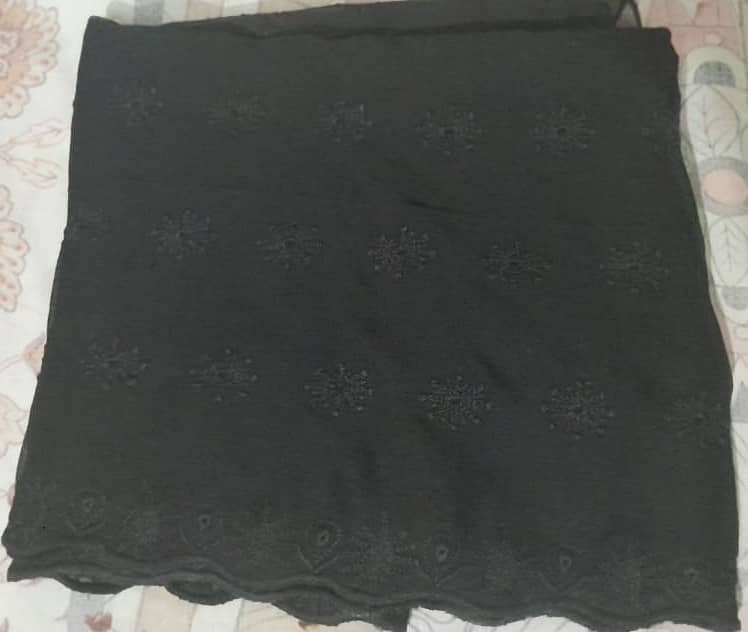 Crinkle Chiffon Duppata with Embrordry 3