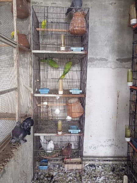 Urgent wair Cages for sale 2