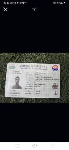 I am driver I need job