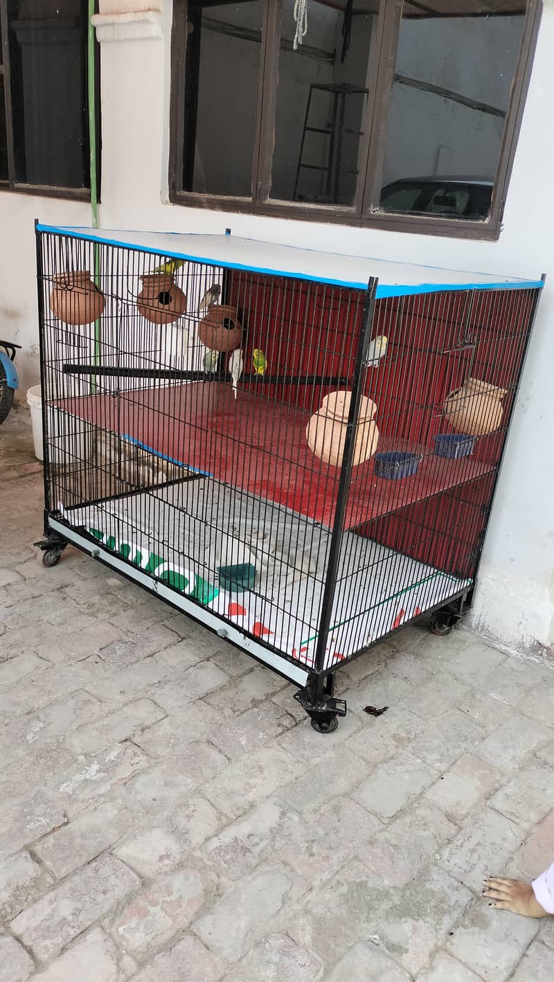 Big cage for sale 1