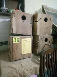 Cocktail Wooden Cage Boxes
