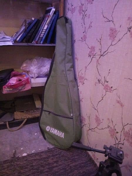 guitar 10/10 + Bag+ strip+clunch 0