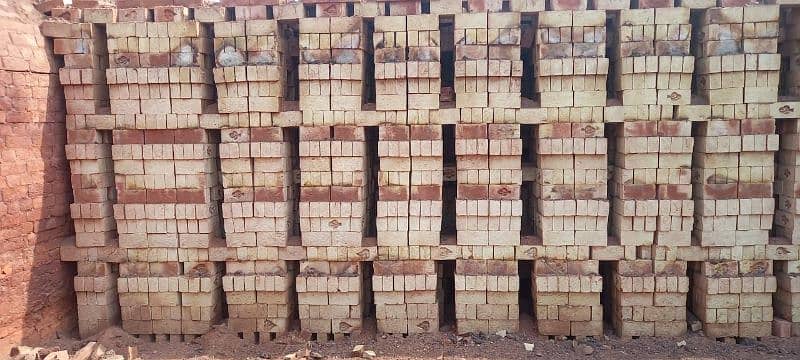 Niazi special bricks 3