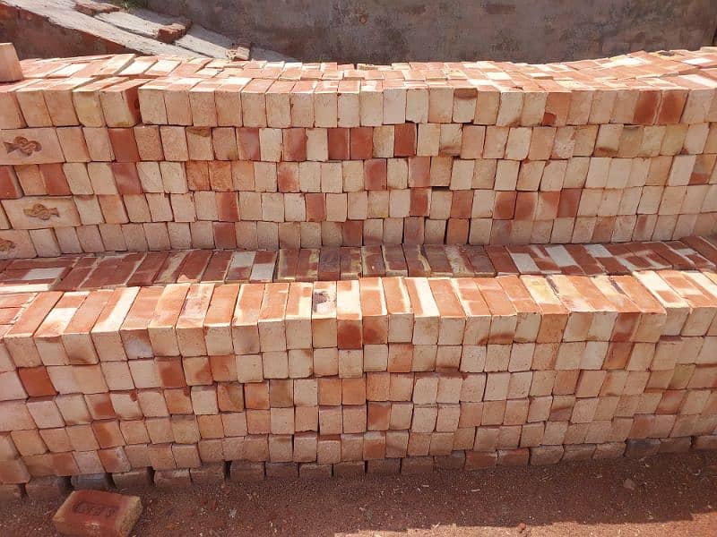 Niazi special bricks 5