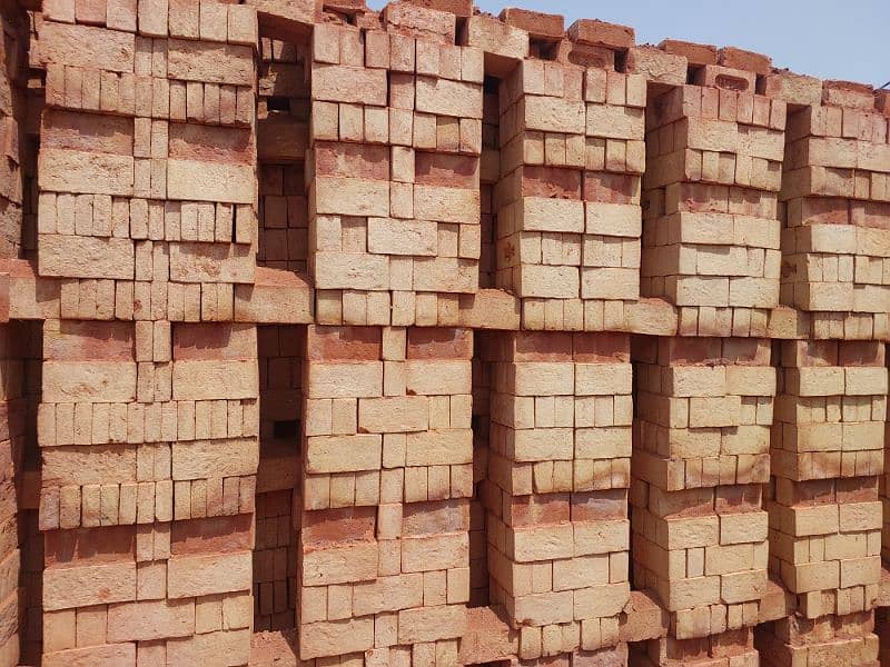Niazi special bricks 6