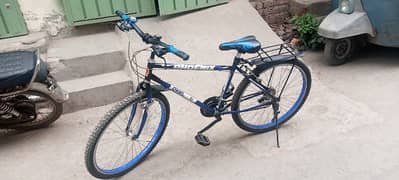 PHOENIX BICYCLE 2024