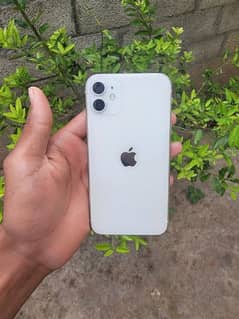 iphone 11, white colour iphone 0