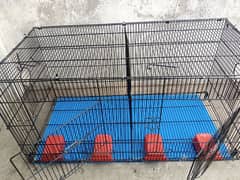 Brand Double portion master folding cage with feeding pots for sale