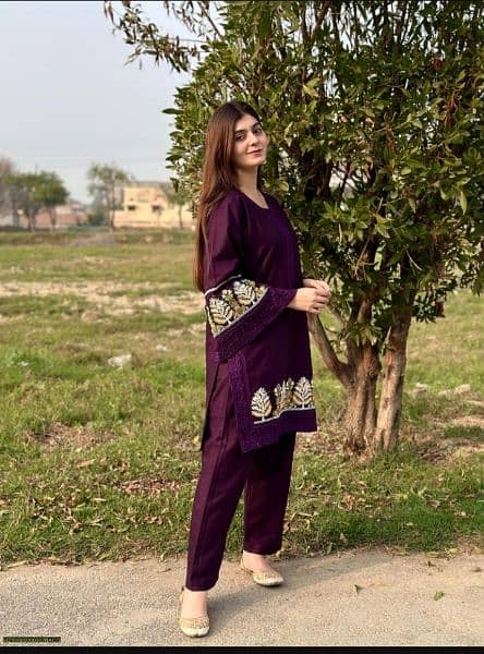 2 pcs Women's Stitched Cotton Embroidered Shirt and Trouser 1
