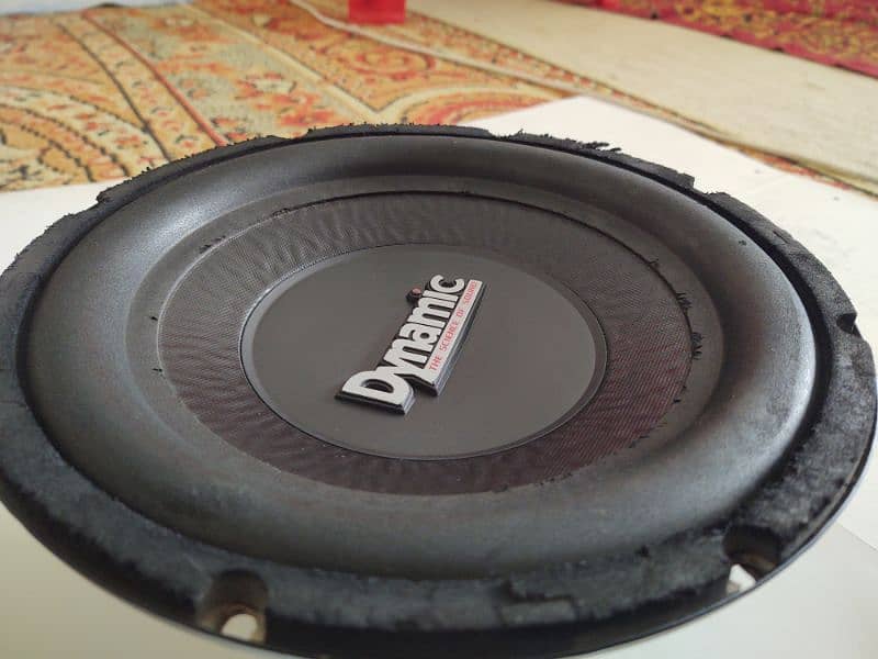 Original American Dynamic Subwoofer heavy 10 inch full 1