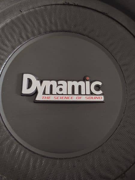 Original American Dynamic Subwoofer heavy 10 inch full 11