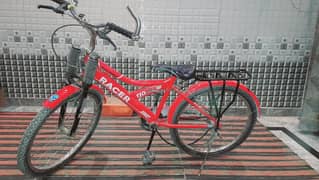 Racer Bicycle 24 Inch
