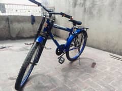 Phoenix Bicycle for sale for the children 12 to 15 years