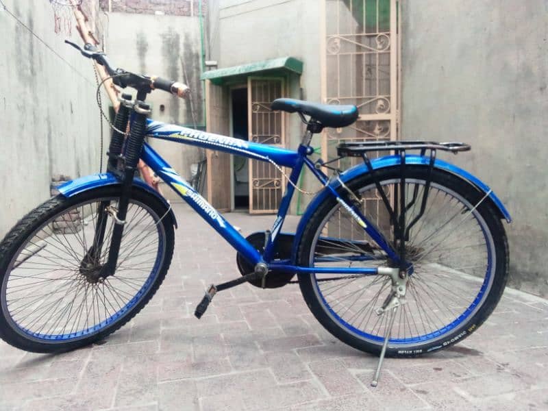Phoenix Bicycle for sale for the children 12 to 15 years 1