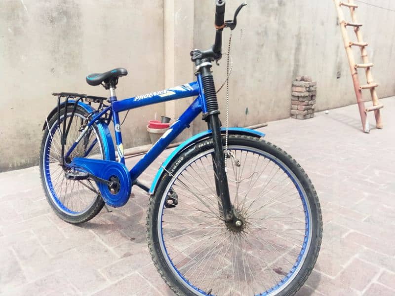 Phoenix Bicycle for sale for the children 12 to 15 years 2
