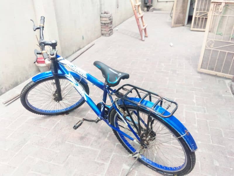 Phoenix Bicycle for sale for the children 12 to 15 years 4