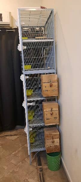 Birds cage 1
