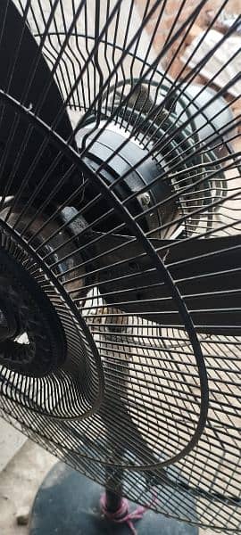 Fan in perfect condition 5