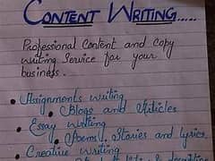 I will do assignment and hand writing job 0