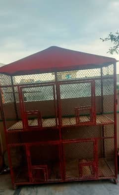 Big Iron Birds/Hens, cage in very good condition 0