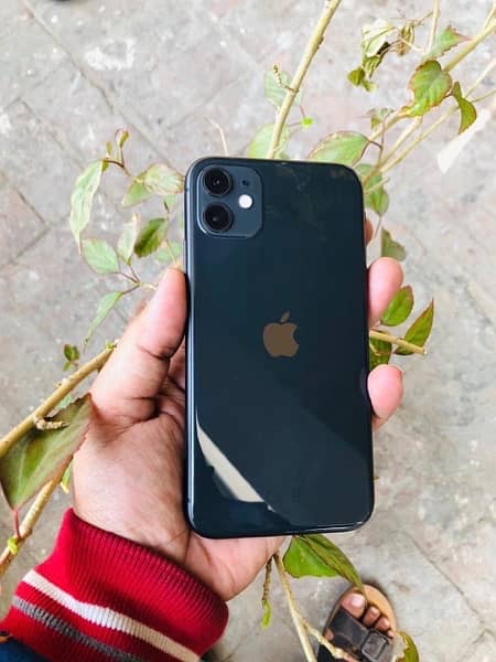 IPhone 11 64Gb jv Waterpack Only call 2