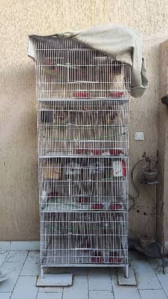 Cage Galvanized for Parrots, Finches and sparrows