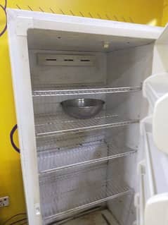 imported chiller/freezer