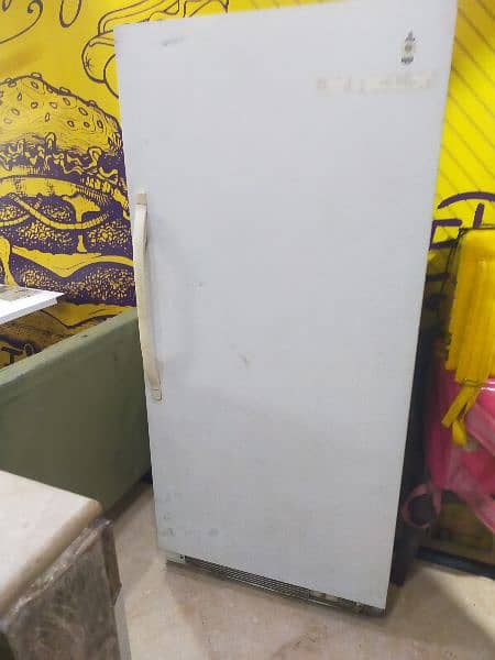 imported chiller/freezer 4