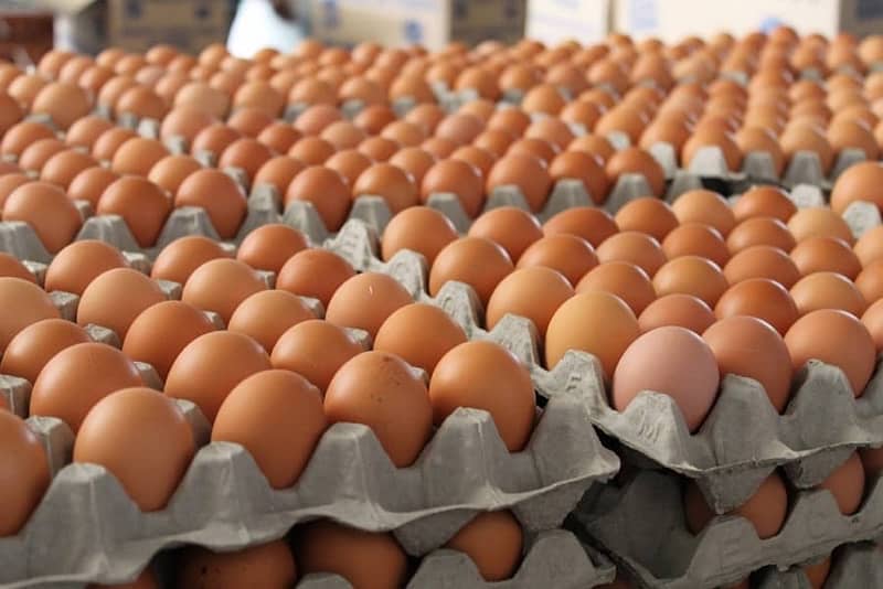 loman brown eggs in bulk 24rs 0
