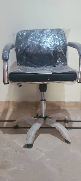 Salon Chair 1
