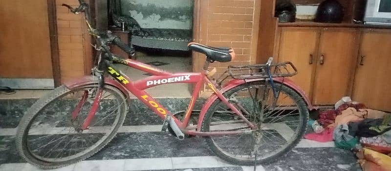 Phoenix Bi-Cycle 2