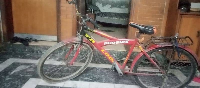 Phoenix Bi-Cycle 3