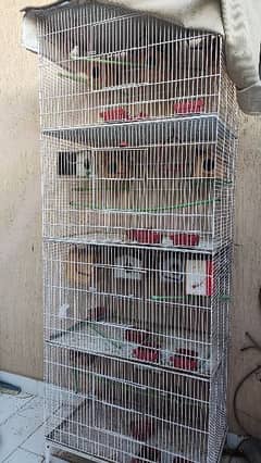 Cage Galvanized Premium Cage G. I