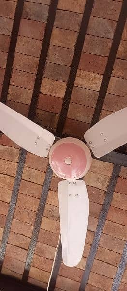 Ceiling Fan For Sale 220 Volt 0
