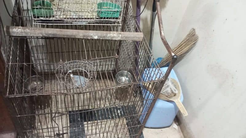 parrots cage for sale 1