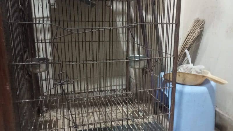 parrots cage for sale 3