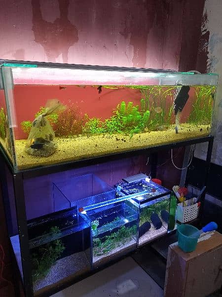 aquarium and iron stand with wooden plank 3