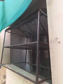 Cage steel for Hens & Parrots