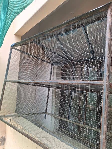 Cage steel for Hens & Parrots 2