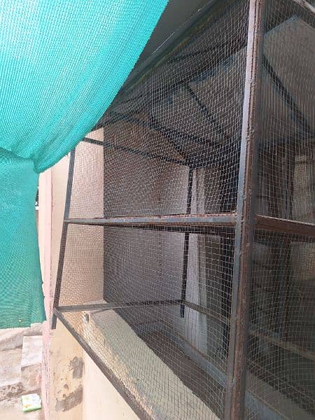 Cage steel for Hens & Parrots 3