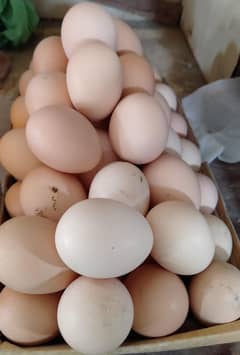DESI EGGS (Organic Eggs, Ghr ki Breed)