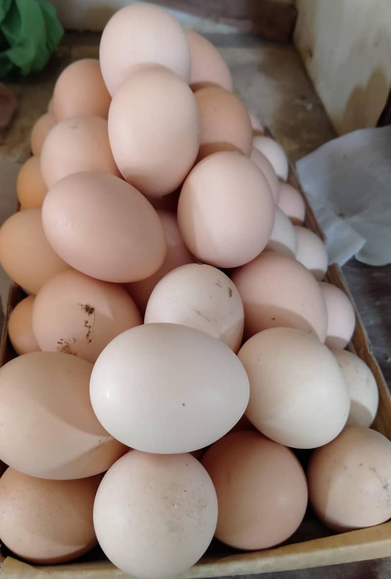 DESI EGGS (Organic Eggs, Ghr ki Breed) 1