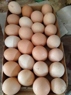 DESI EGGS (Organic Eggs, Ghr ki Breed)