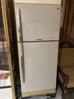 Pel fridge 2 door full size arctic series