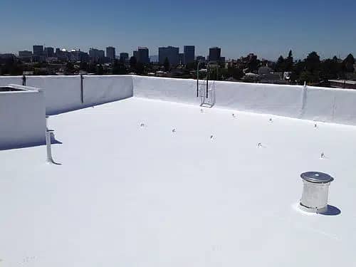 Waterproofing | Bathroom Leakage | Tank Waterproofing | Seepage | Roof 3