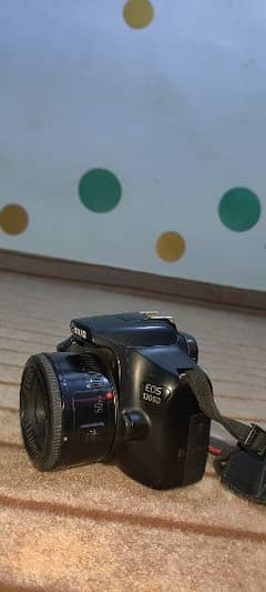 Canon 1300D | 2  extra lense 18.55m and 50mm |