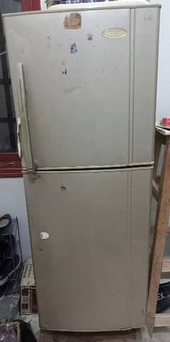 Success Company fridge for sell urgent