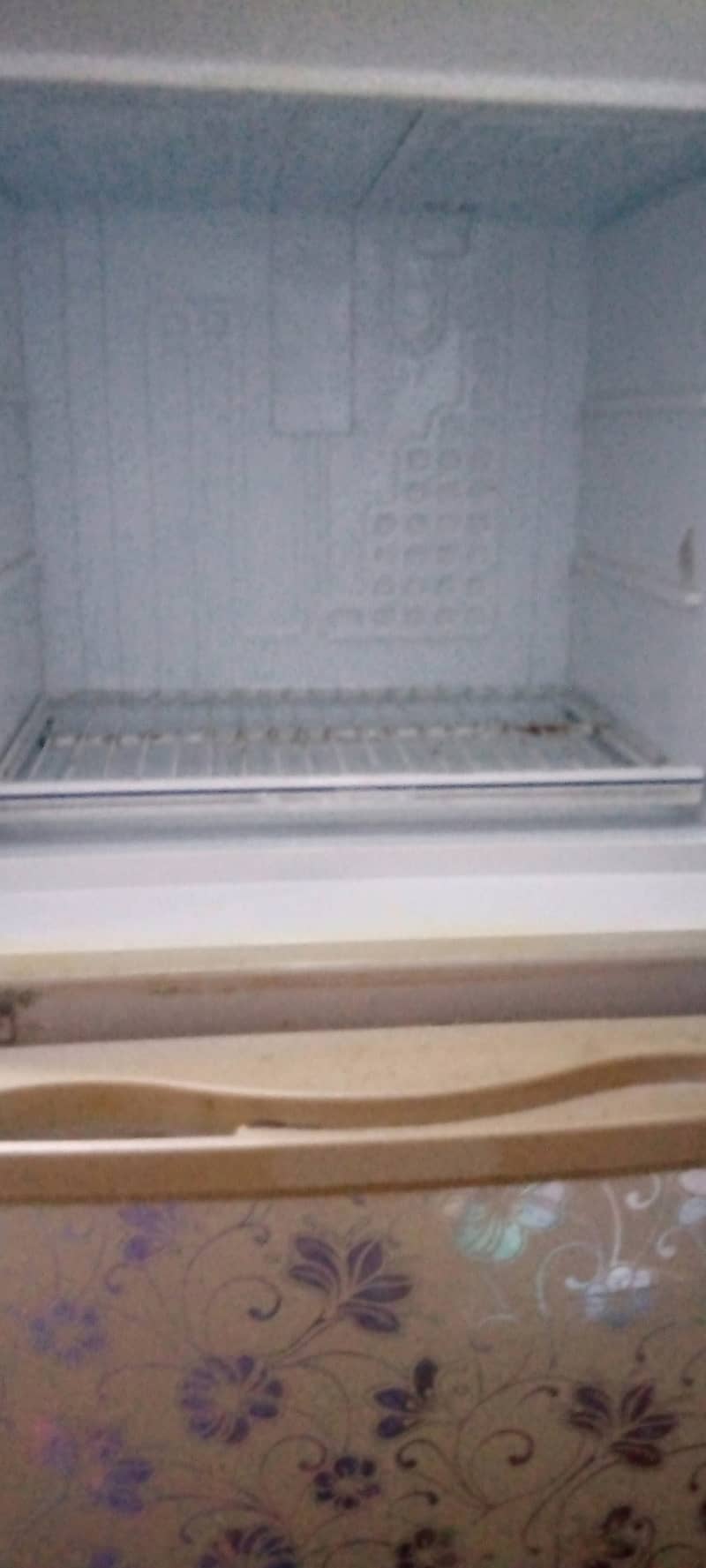 Dawlence fridge 6