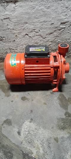 monoblok pump
